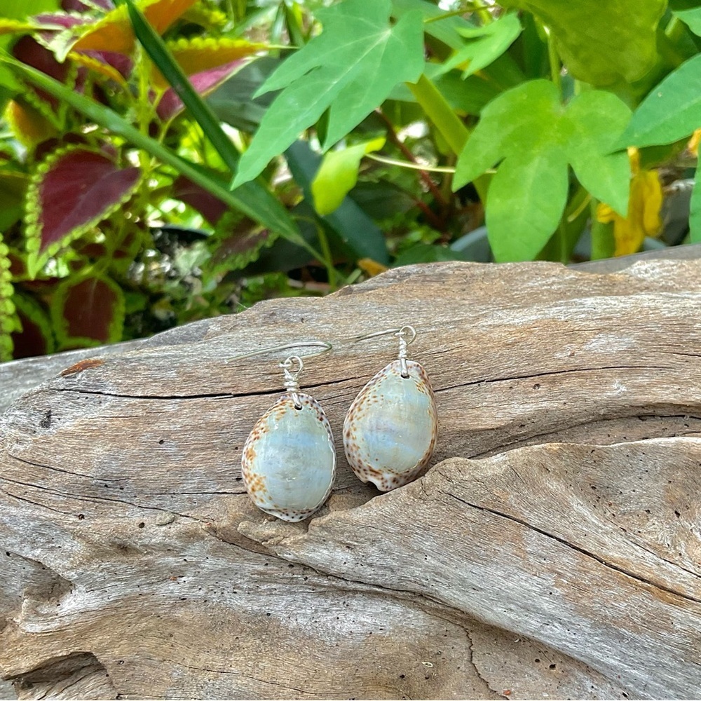Sterling silver spotted cowrie wrapped earrings - Picture 2 of 2